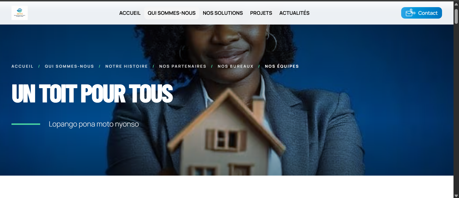 BEPAS Web, Dynamic website